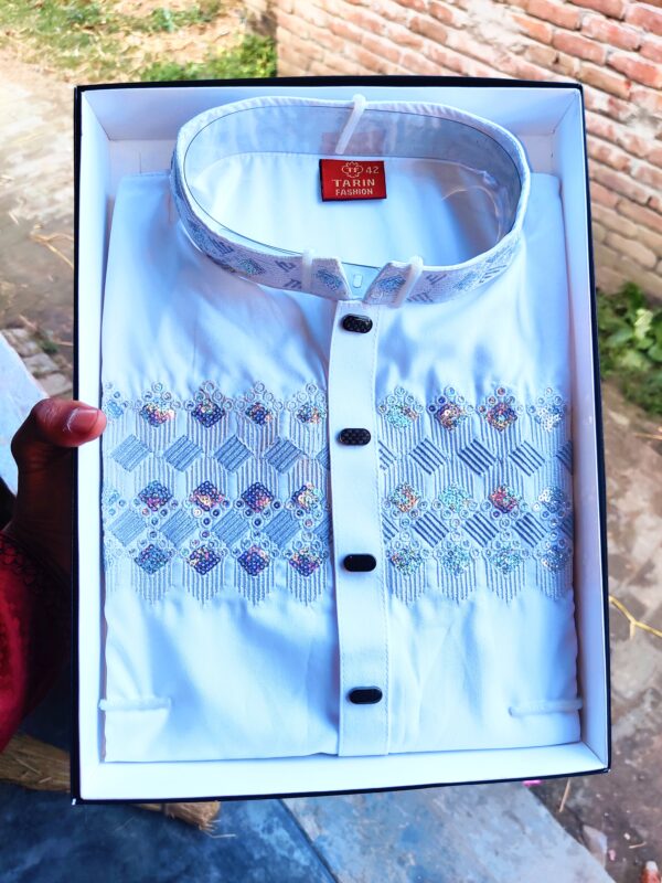 luxury panjabi design